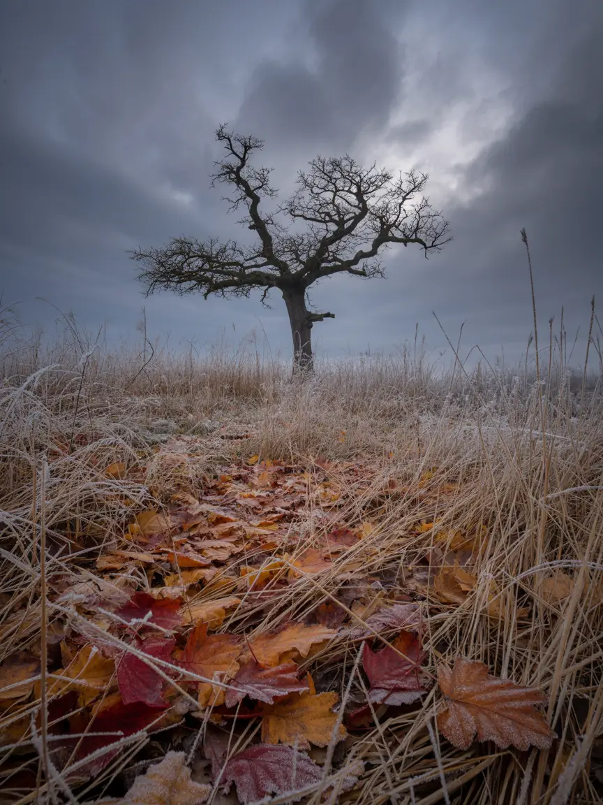 Avatar of Edward King