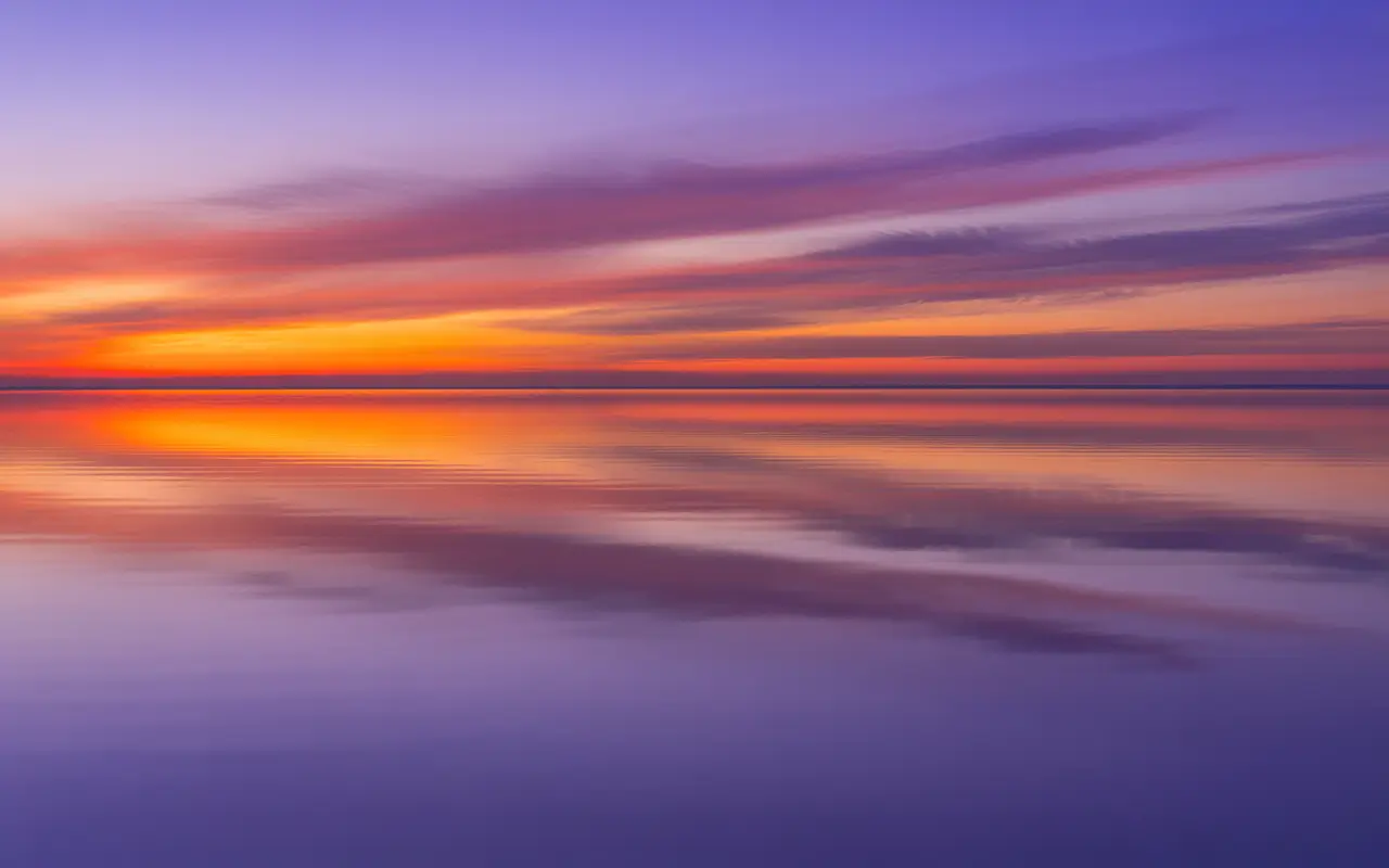 Avatar of Mark Adams