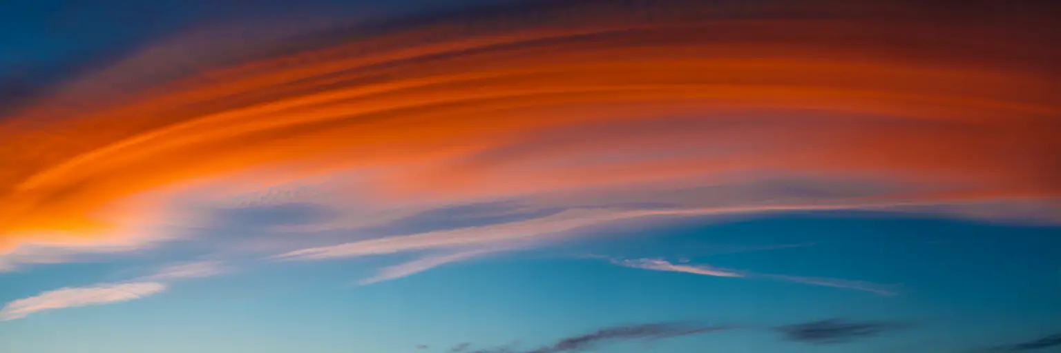 Avatar of Angela Perez