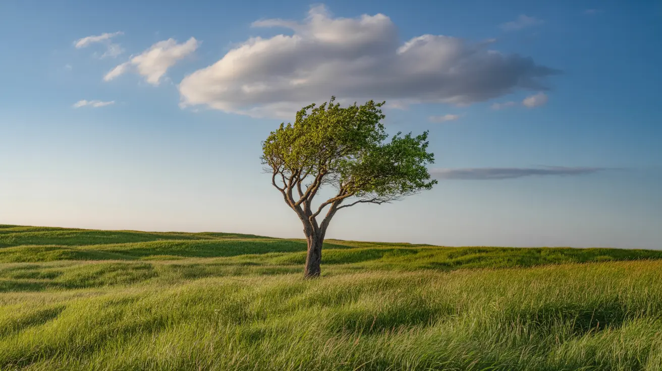 Avatar of Sarah Jenkins